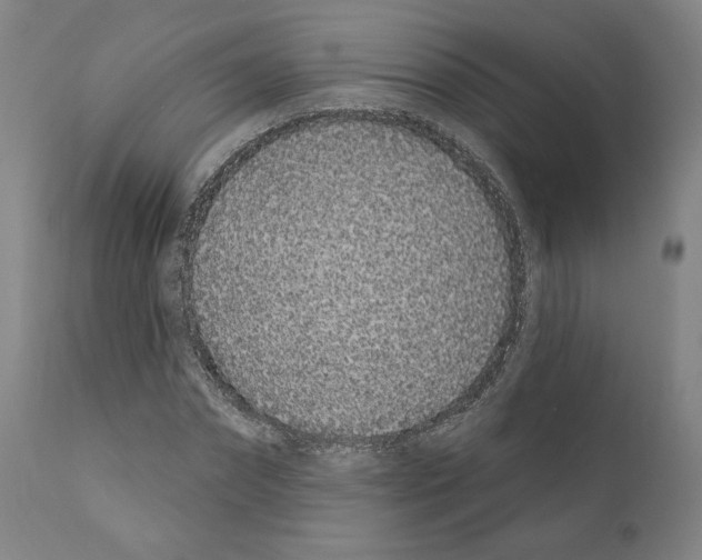 X0000110960874200907311104