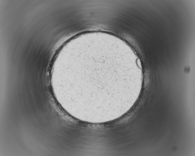 X0000110960876200907311104