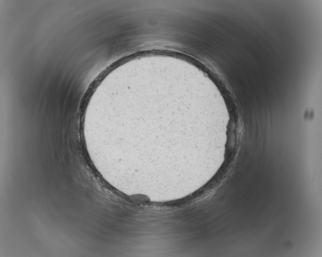 X0000110960877200907311104