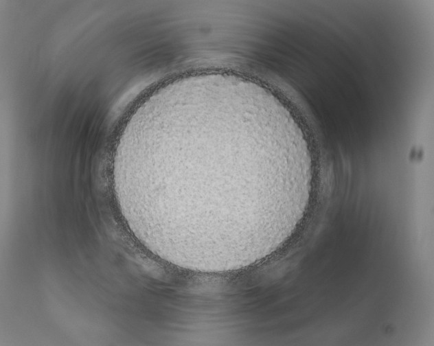 X0000110960878200907311104