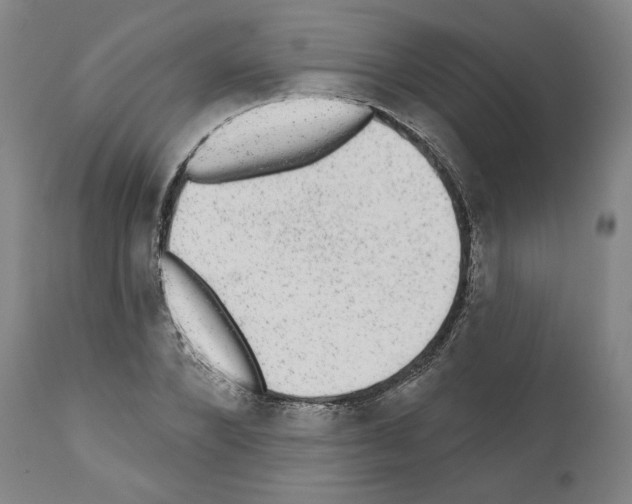 X0000110960880200907311104