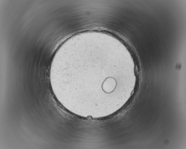 X0000110960881200907311104