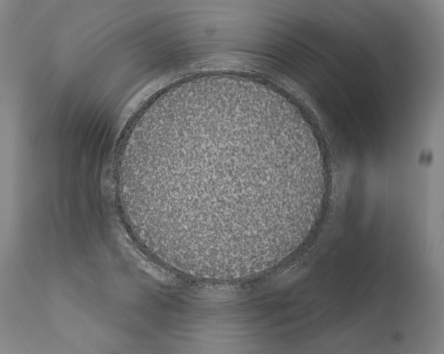 X0000110960882200907311104