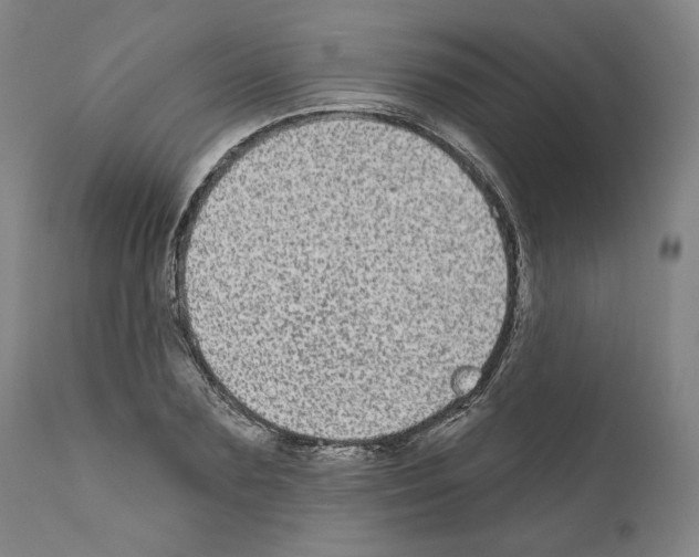 X0000110960883200907311104