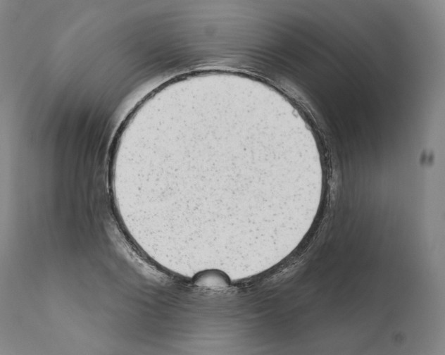 X0000110960884200907311104