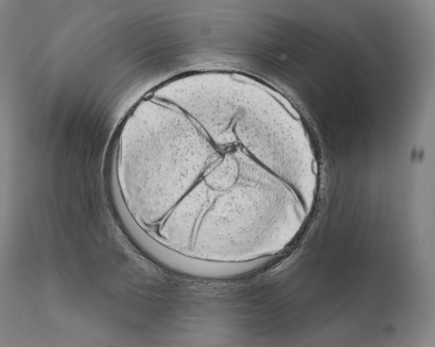 X0000110960885200907311104