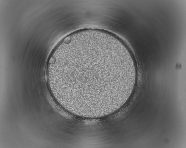 X0000110960887200907311104