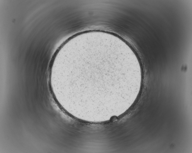 X0000110960888200907311103