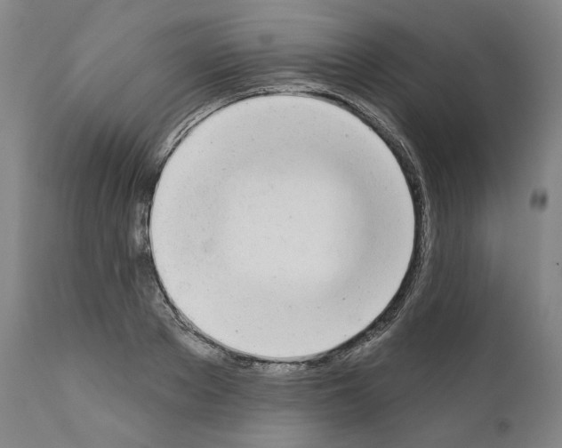 X0000110960889200907311103