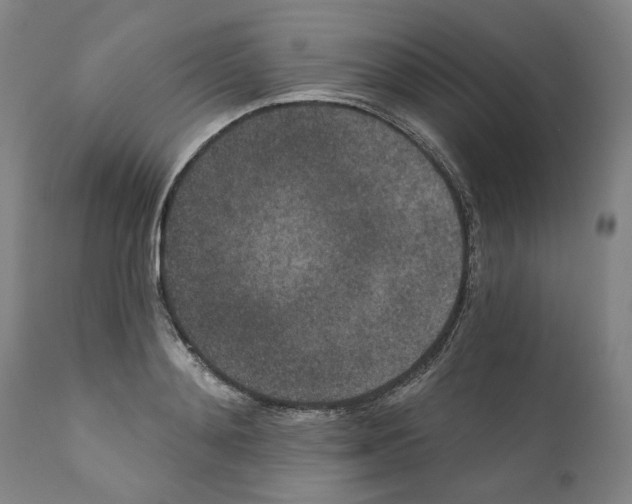 X0000110960892200907311103