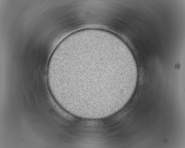 X0000110960895200907311103