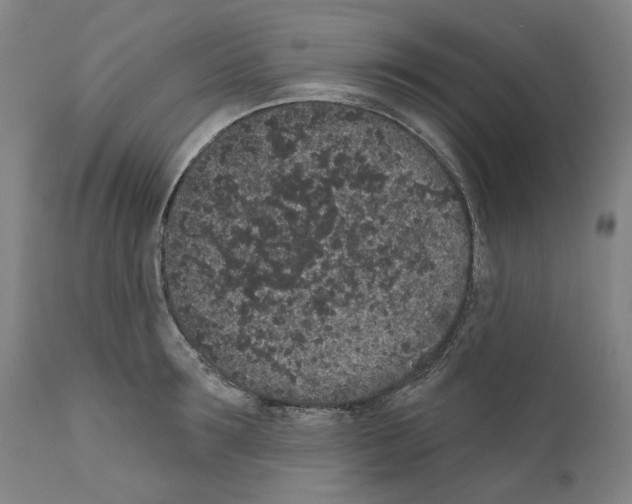 X0000110960899200907311103