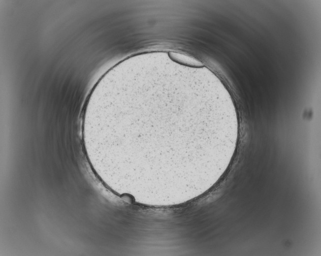 X0000110960900200907311103