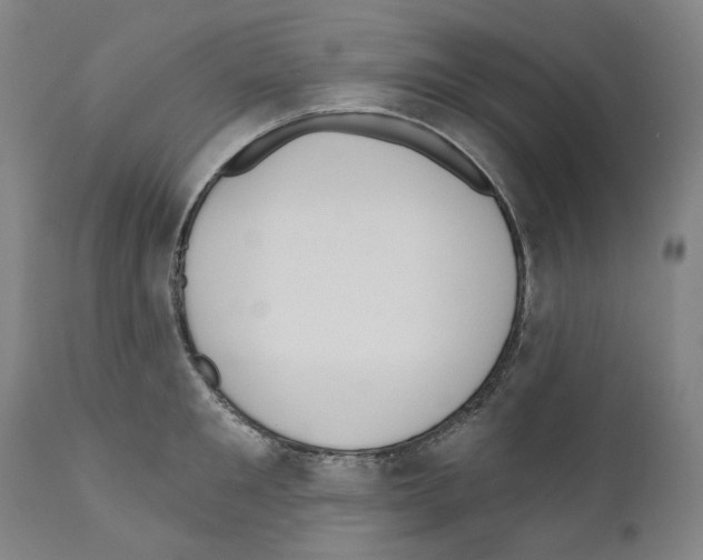 X0000110960901200907311103