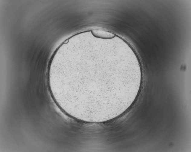 X0000110960902200907311103