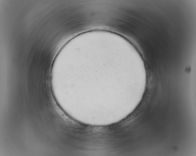 X0000110960903200907311103