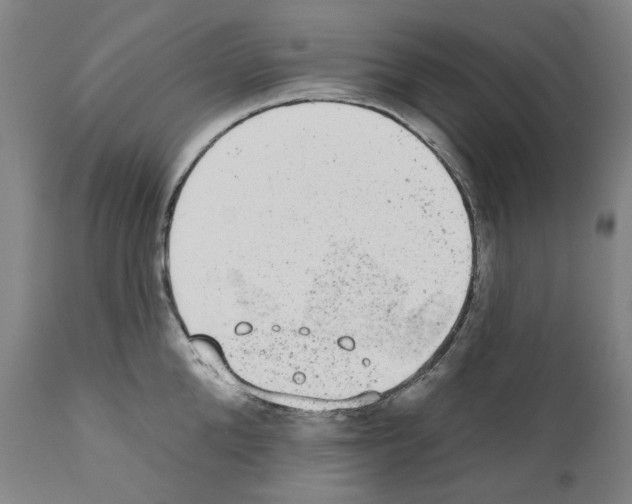 X0000110960904200907311103