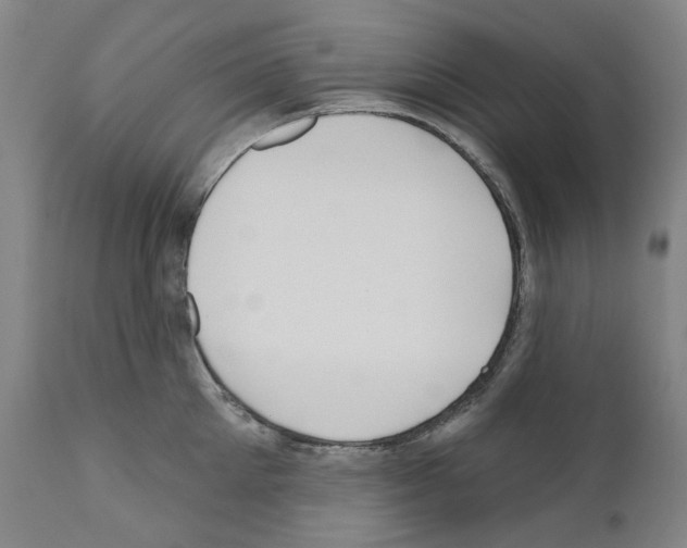 X0000110960905200907311103