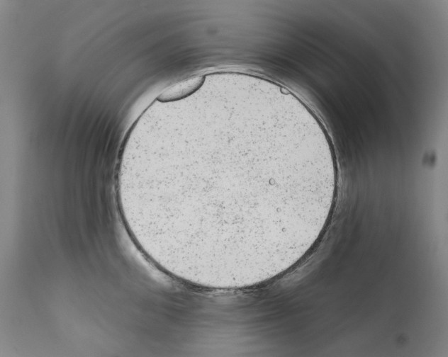 X0000110960906200907311103
