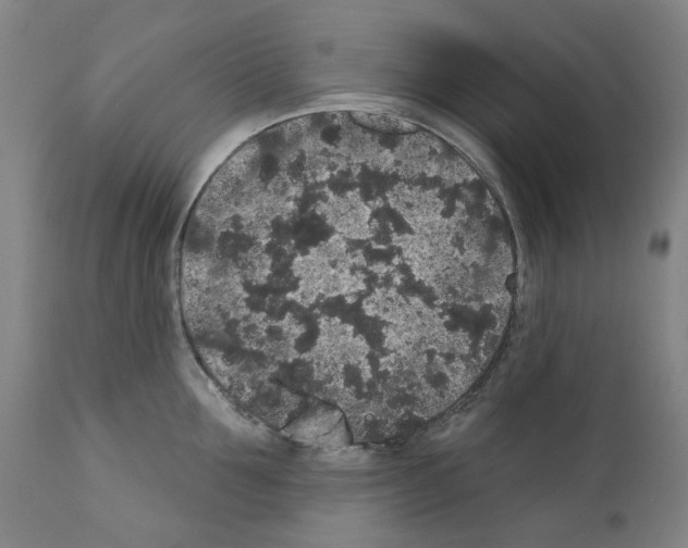 X0000110960907200907311103