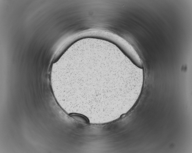 X0000110960908200907311103