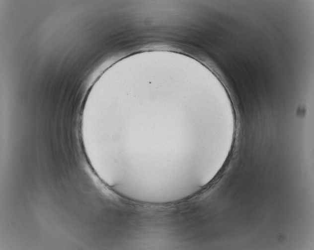 X0000110960909200907311103