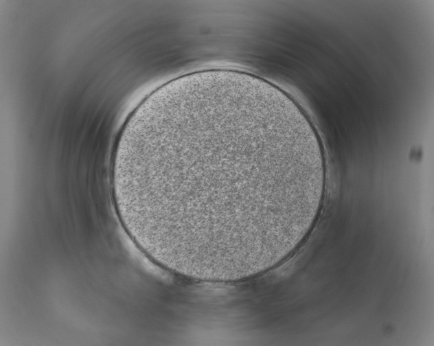 X0000110960910200907311103
