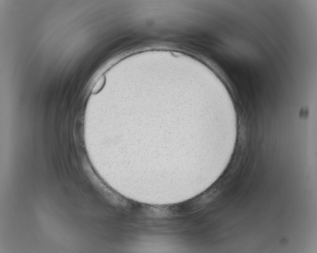 X0000110960911200907311103