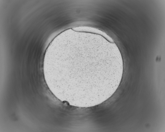 X0000110960912200907311103