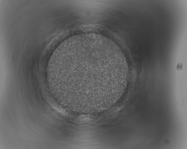 X0000110960913200907311102