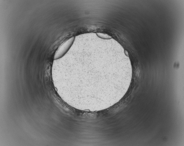 X0000110960914200907311102