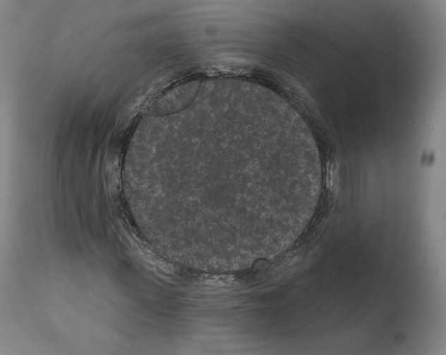 X0000110960915200907311102