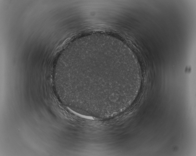 X0000110960916200907311102