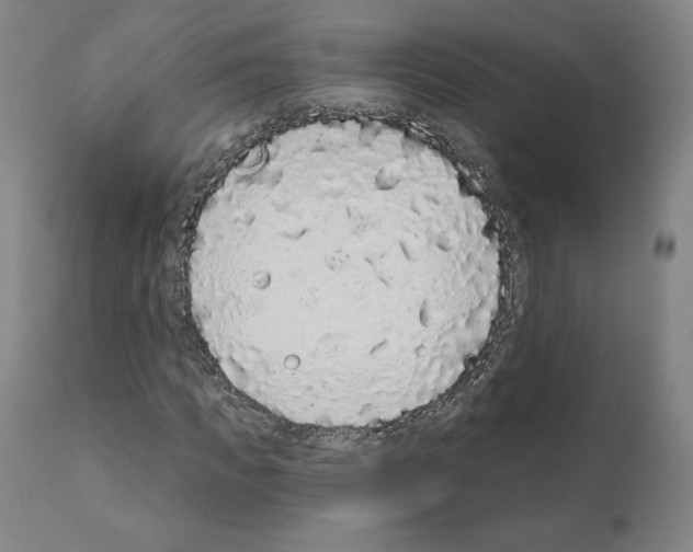 X0000110960917200907311102