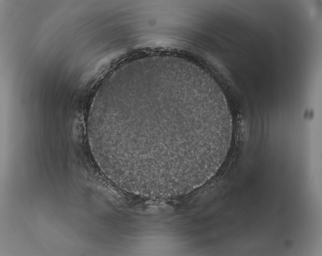 X0000110960918200907311102