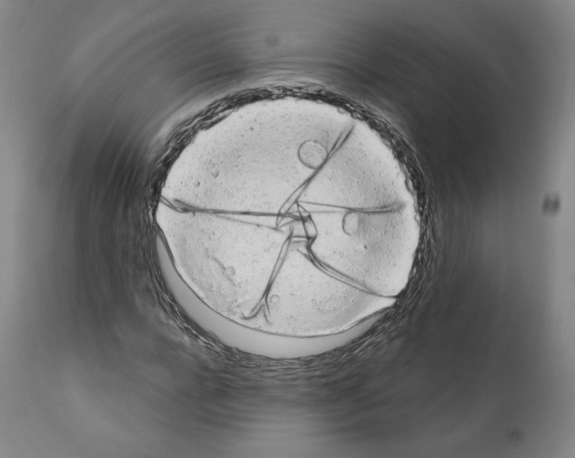X0000110960920200907311102