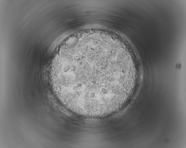 X0000110960921200907311102