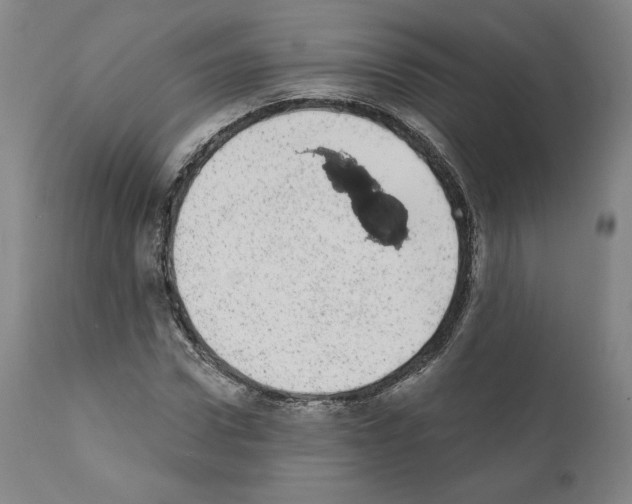 X0000110960922200907311102