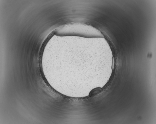 X0000110960924200907311102