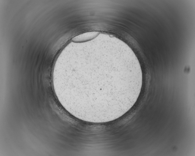 X0000110960930200907311103