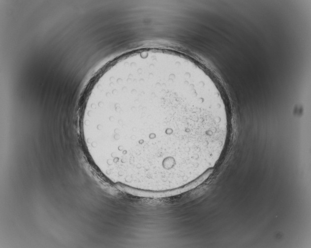 X0000110960931200907311103