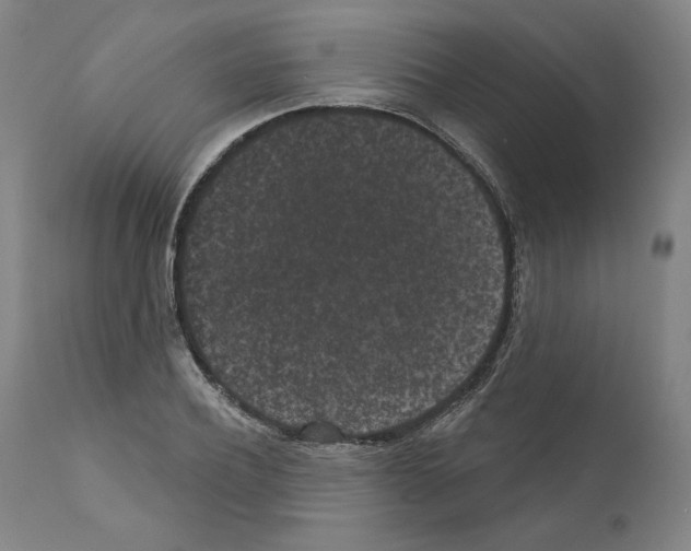 X0000110960932200907311103