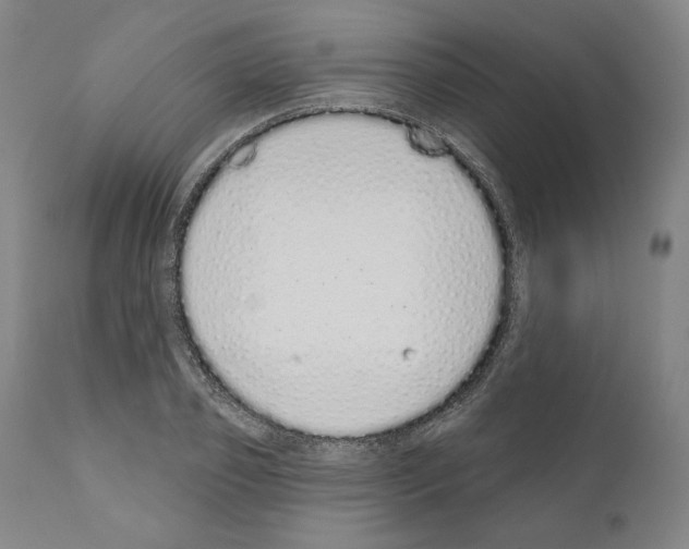 X0000110960933200907311103