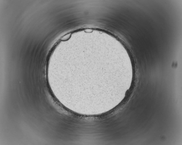 X0000110960934200907311103