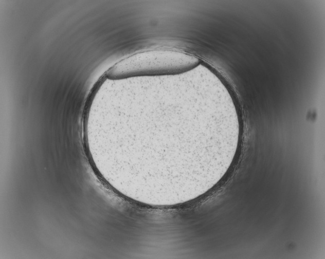 X0000110960936200907311103