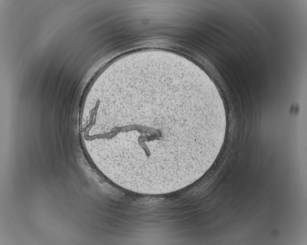 X0000110960939200907311103
