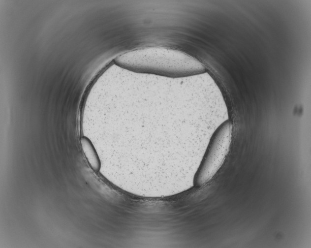 X0000110960940200907311103