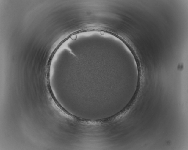 X0000110960941200907311103
