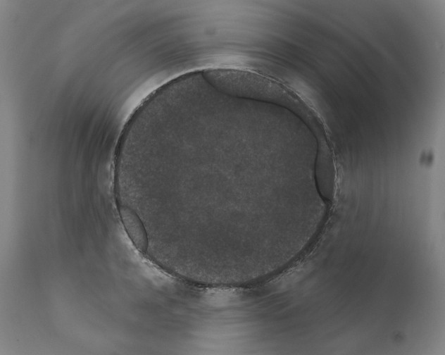 X0000110960944200907311103