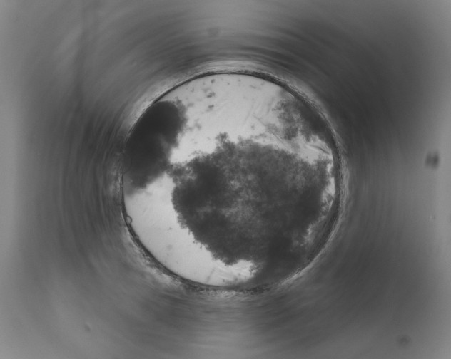 X0000110960945200907311103